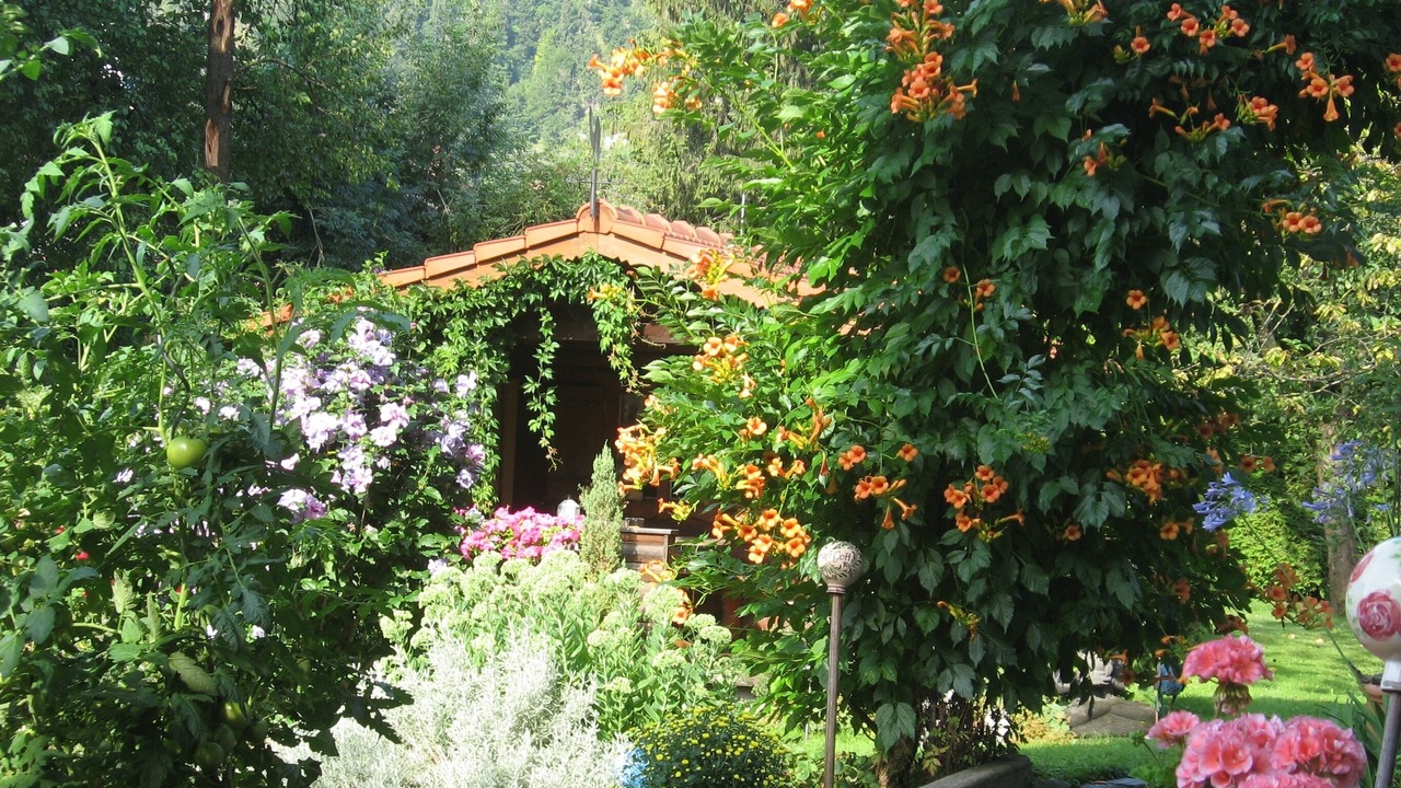 Photo of Outdoor in Farchant