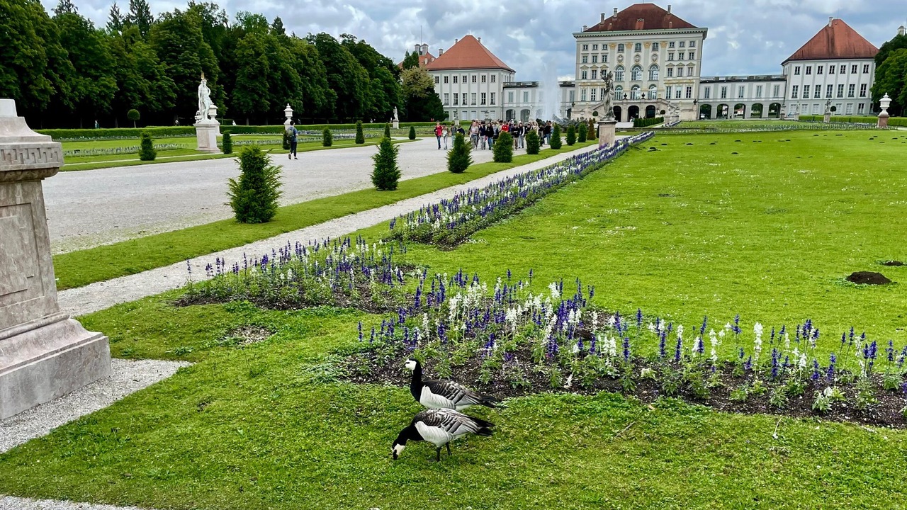 Photo of Outdoor in Berg