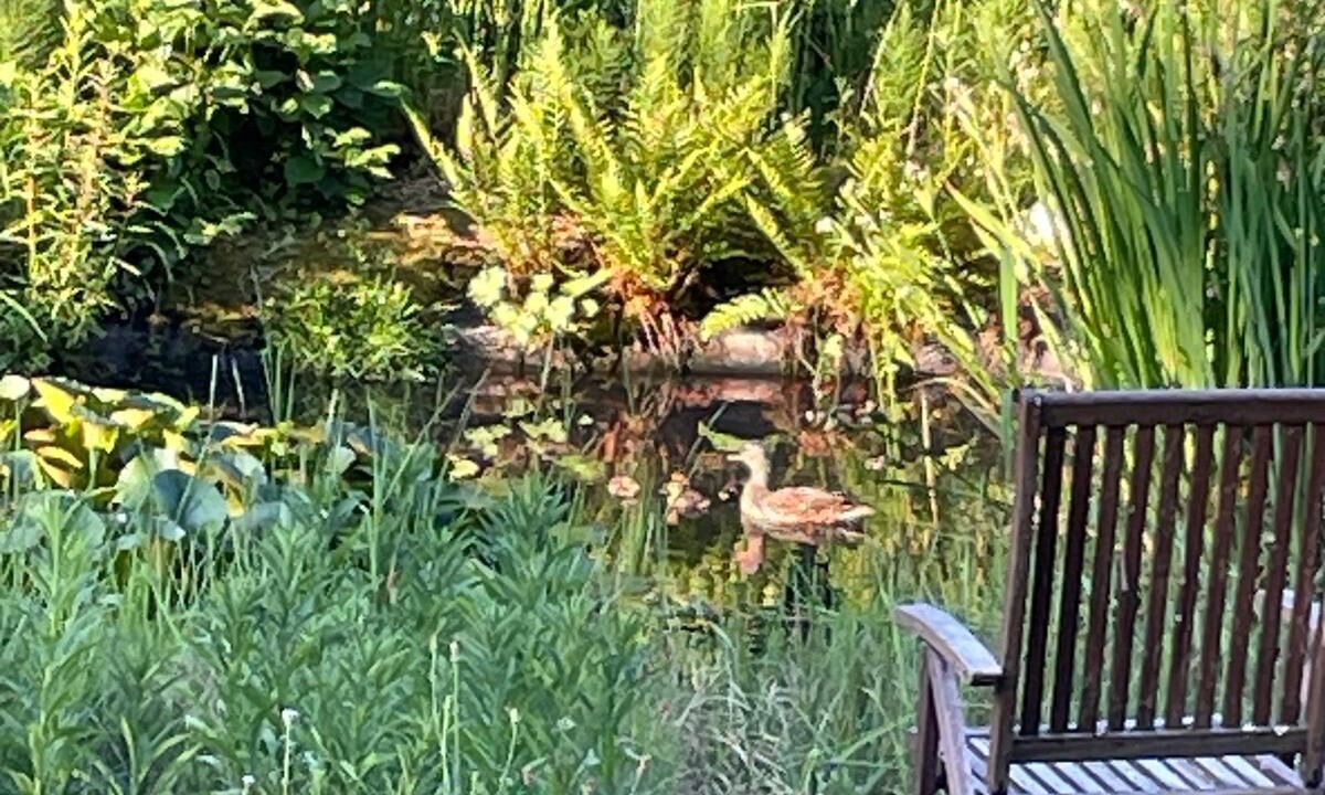 Photo of Outdoor in Burgthann