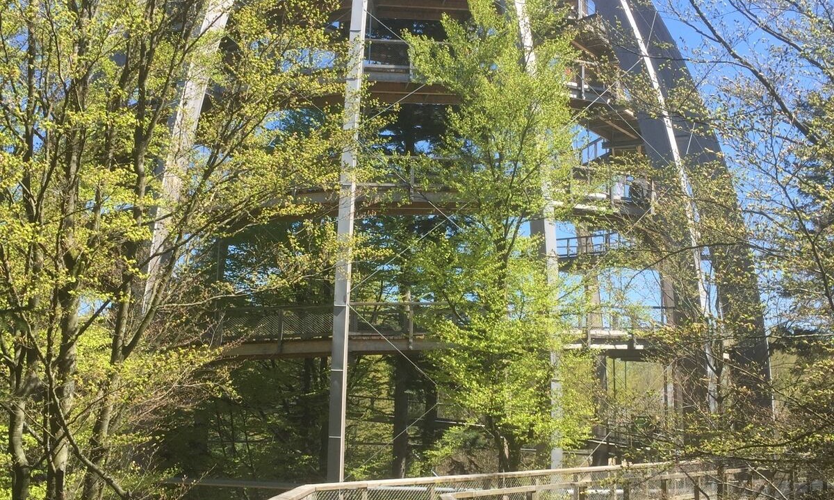 Photo of Outdoor in Schofweg