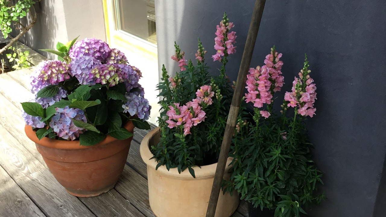 Photo of Outdoor in Diessen am Ammersee