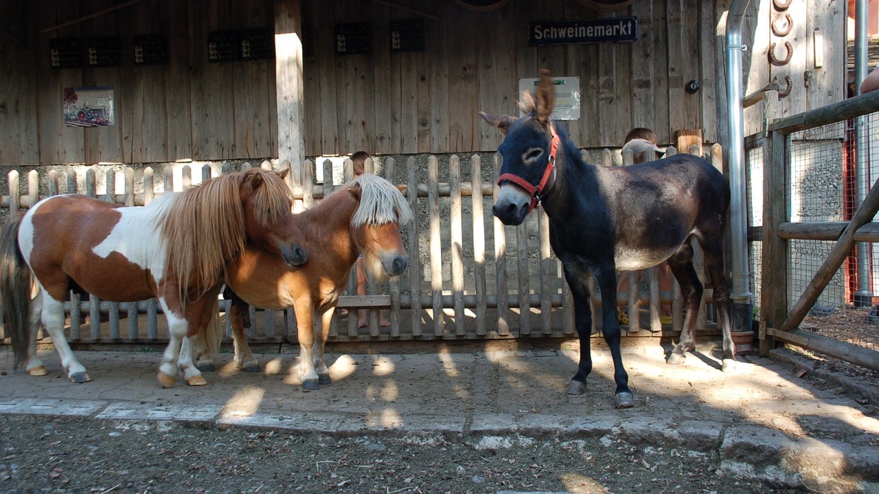 Photo of Others in Roggenburg