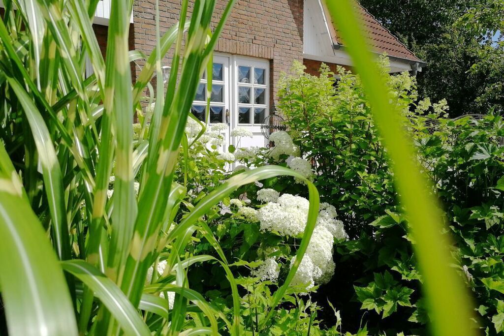 Photo of Outdoor in Zickhusen