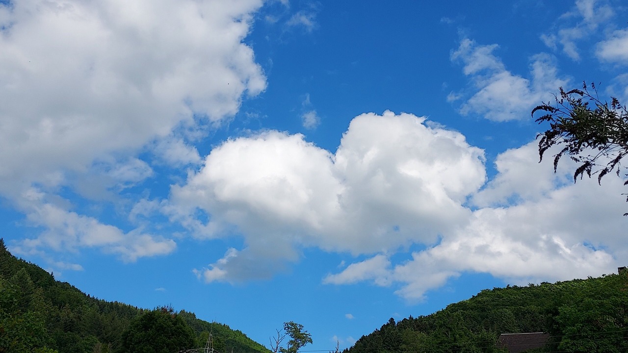 Photo of Others in Zell am Harmersbach