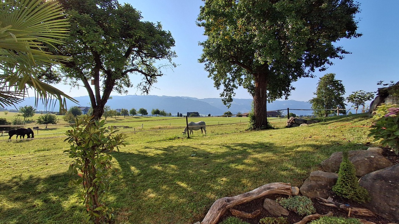 Photo of Outdoor in Sigmarszell