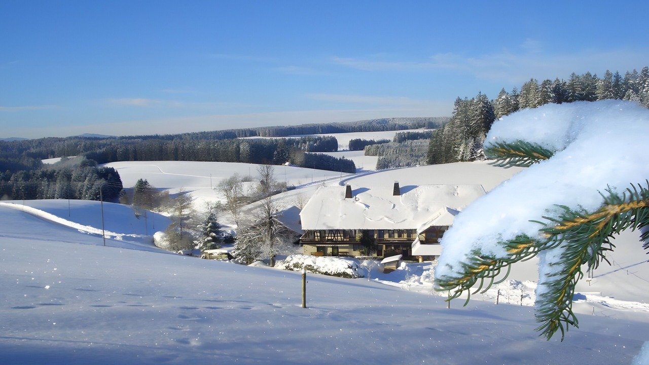 Photo of Others in Furtwangen