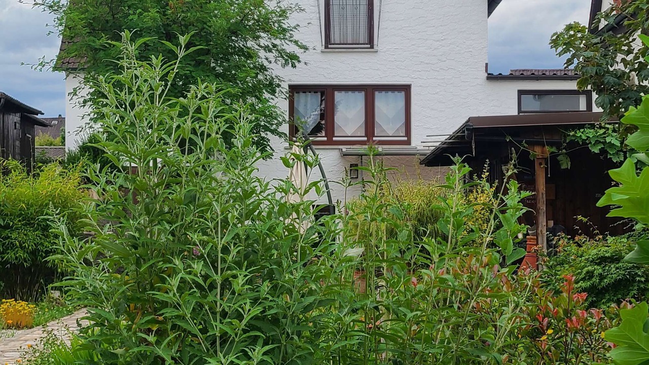 Photo of Outdoor in Kulmbach