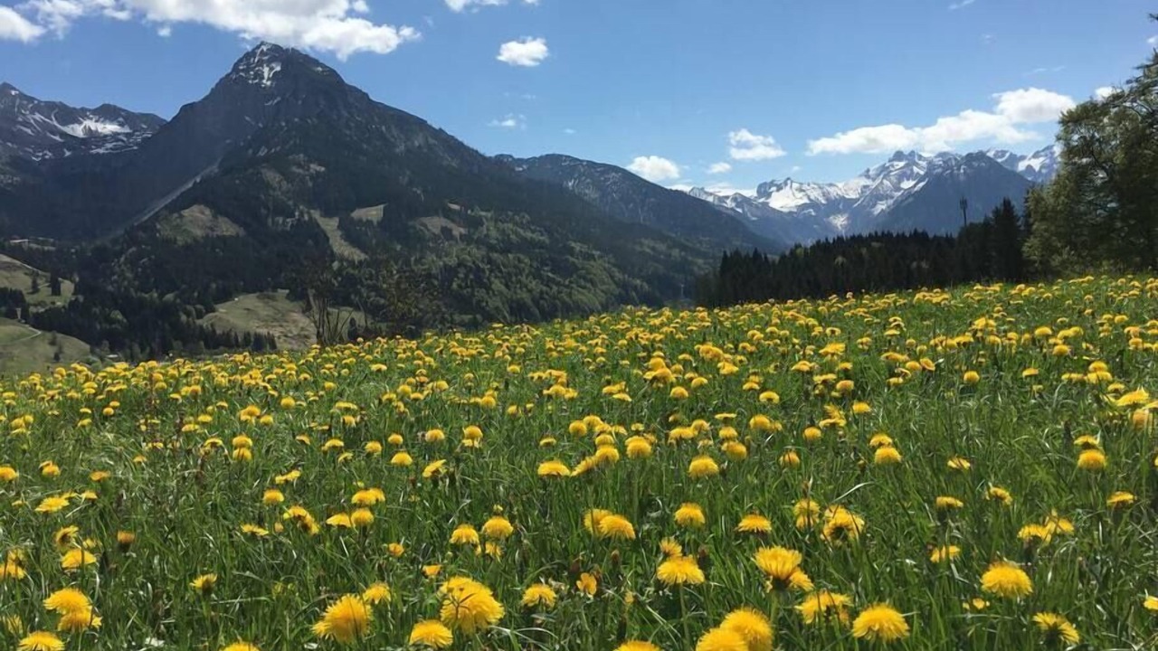 Photo of Others in Oberstdorf