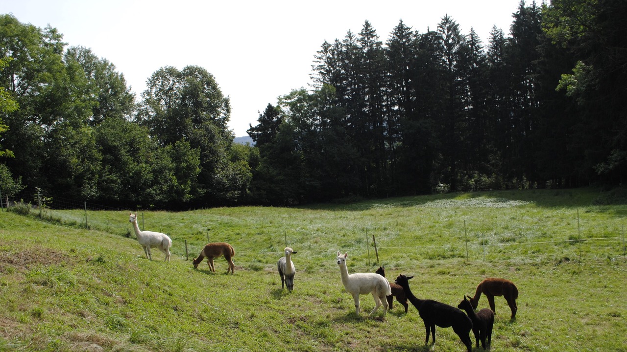 Photo of Others in Unterallgau