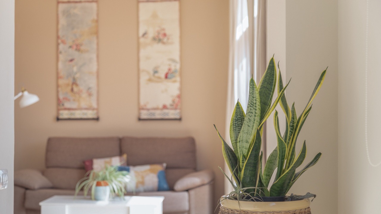 Photo of Livingroom in Galdar