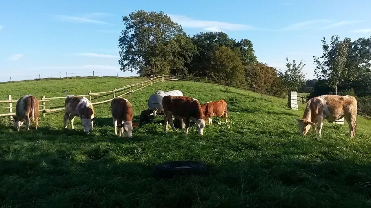Photo of Others in Aufhofen