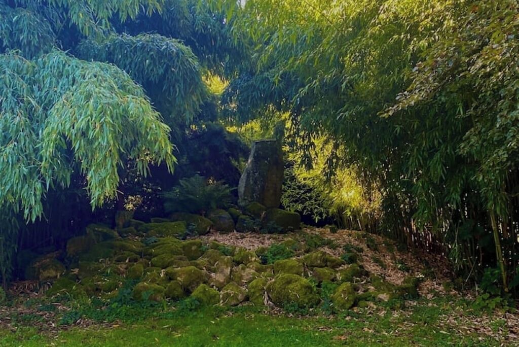 Photo of Outdoor in Rottenberg