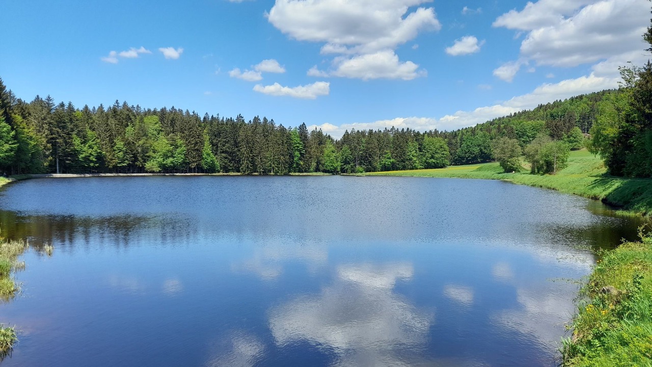 Photo of Others in Muhlberg