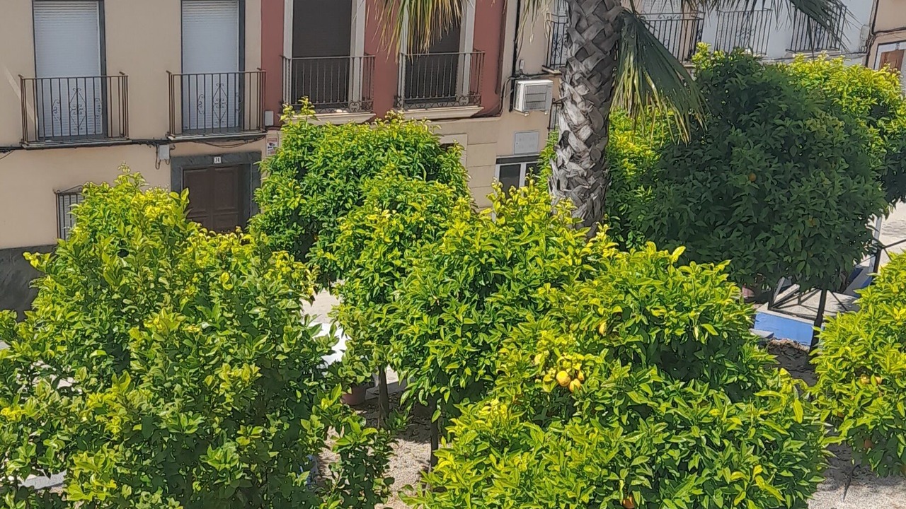 Photo of Outdoor in Rute