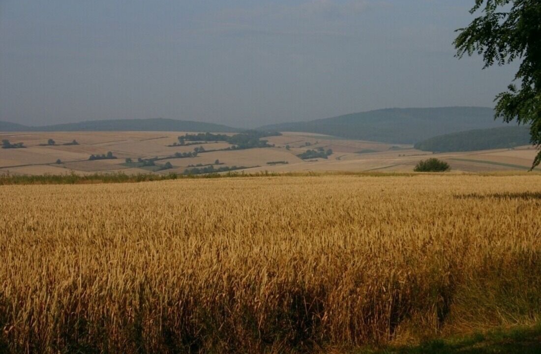 Photo of Others in Mellrichstadt