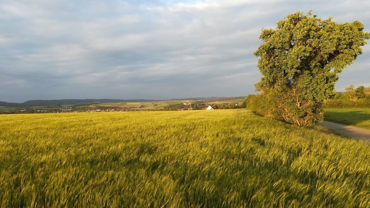 Photo of Others in Mellrichstadt