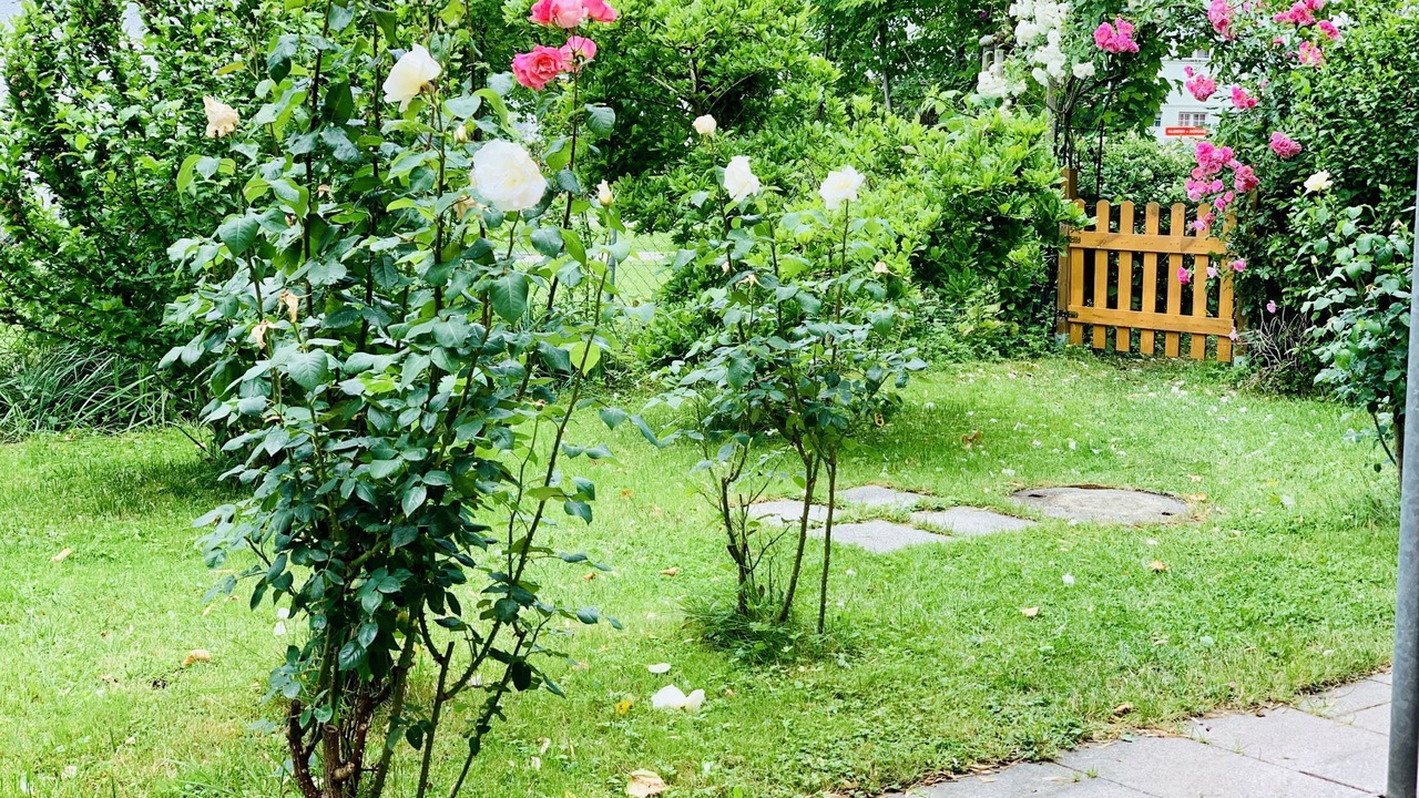 Photo of Outdoor in Reutin