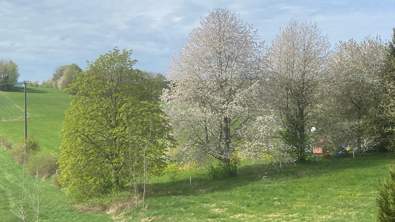 Photo of Others in Palmberg