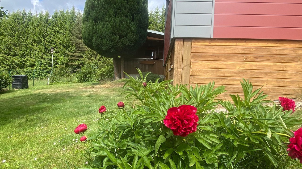 Photo of Outdoor in Palmberg