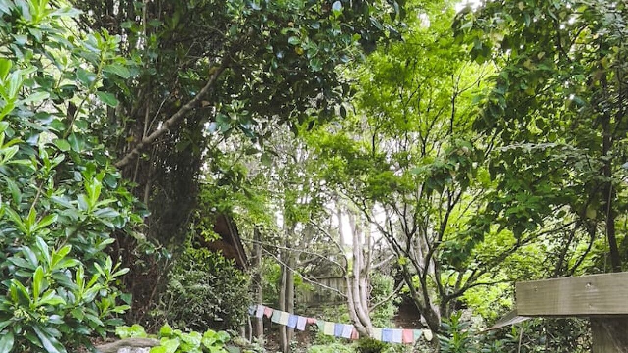 Photo of Outdoor in Sunshine Bay
