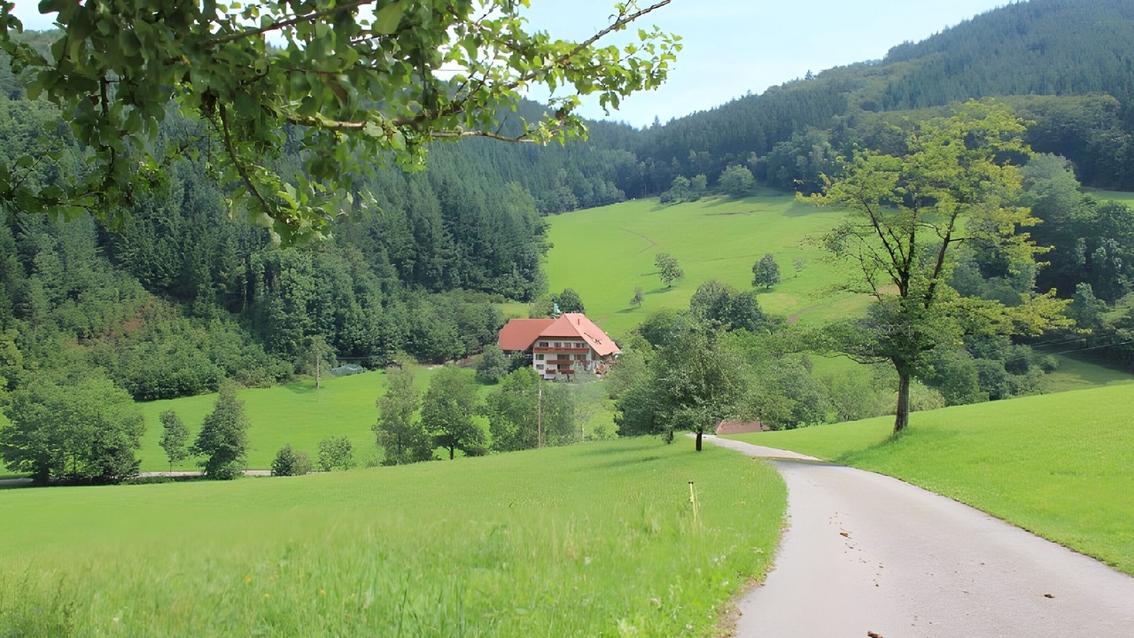 Photo of Others in Muehlenbach