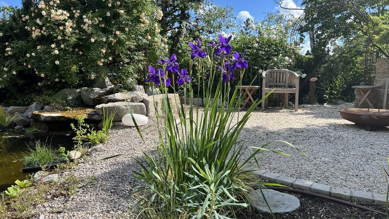 Photo of Outdoor in Muellheim