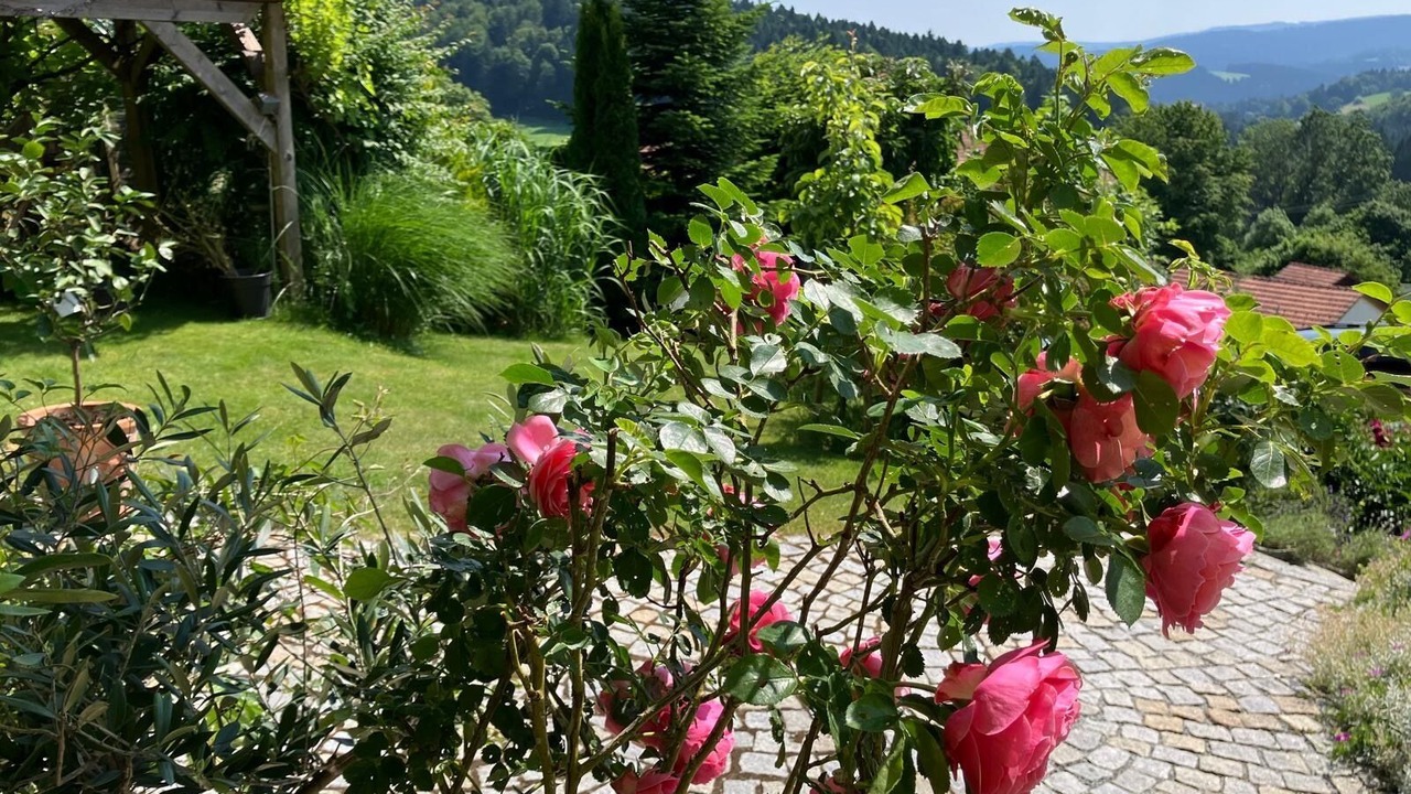 Photo of Outdoor in Hartmannsreut