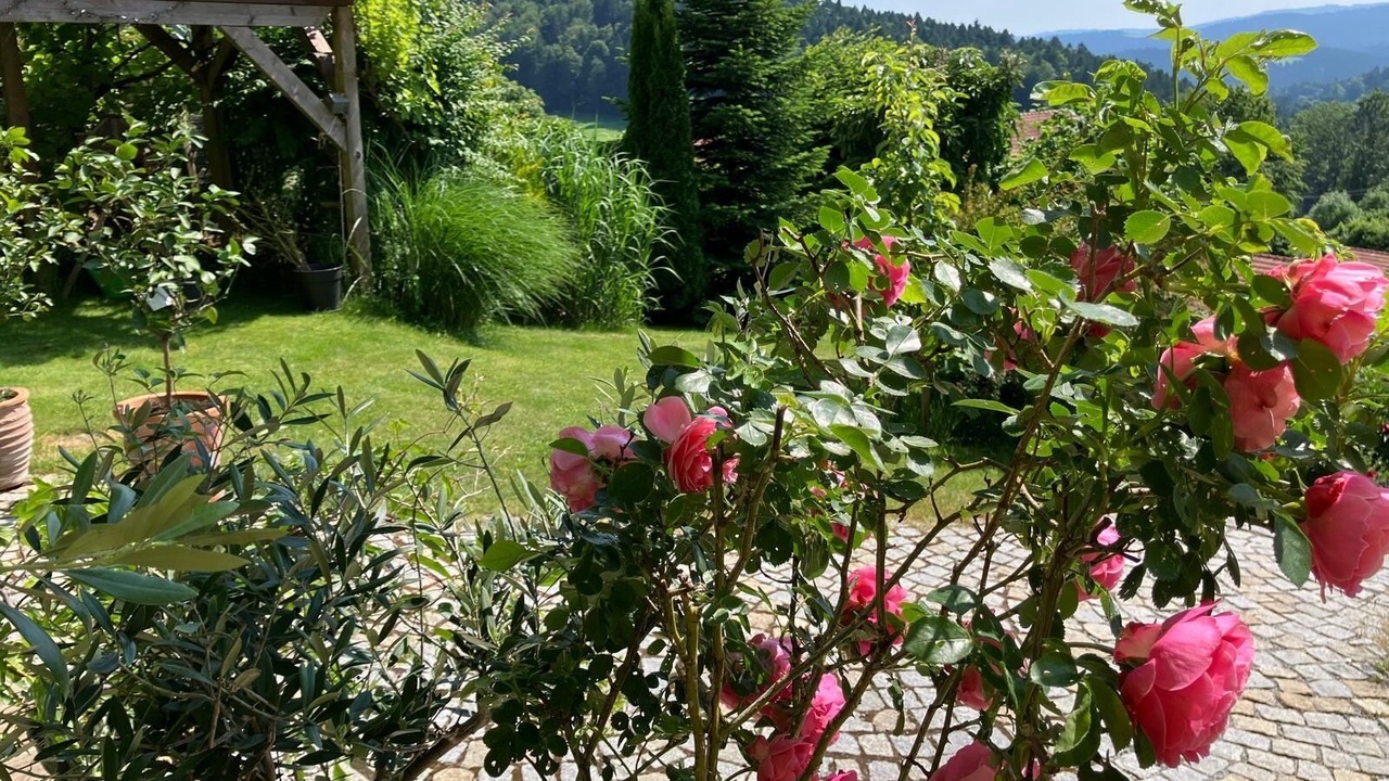 Photo of Outdoor in Hartmannsreut