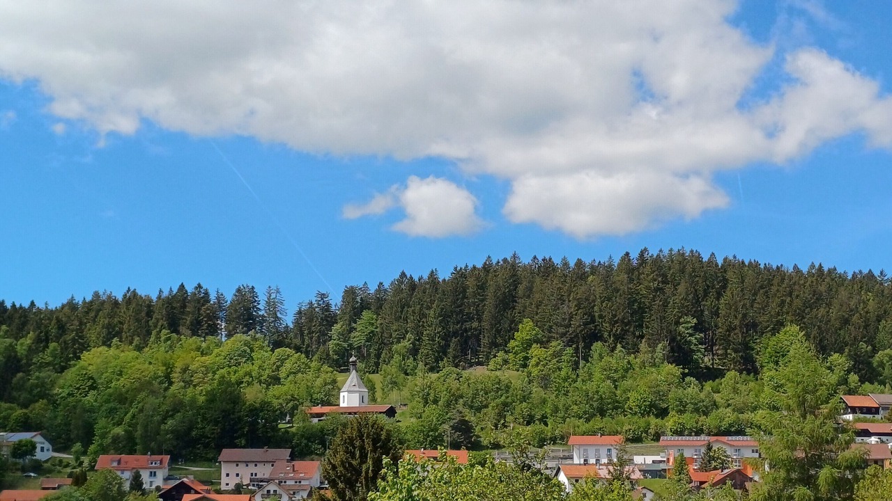 Photo of Others in Sankt Englmar