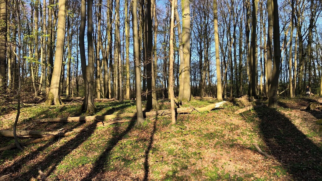 Photo of Others in Kalkhorst
