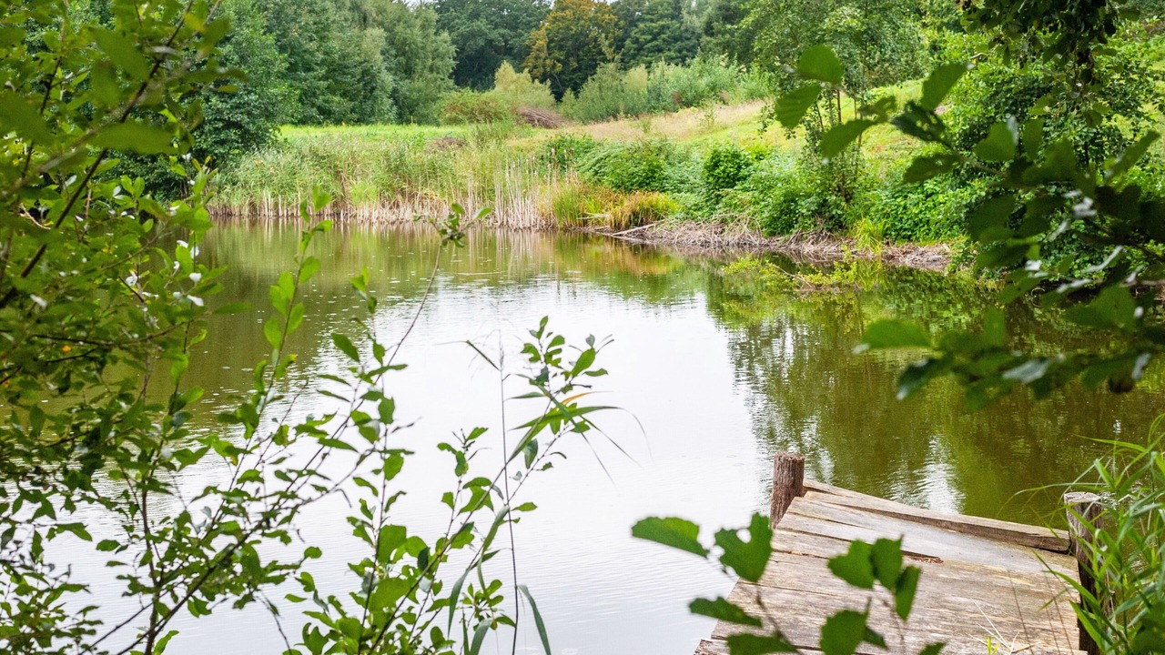 Photo of Others in Kalkhorst