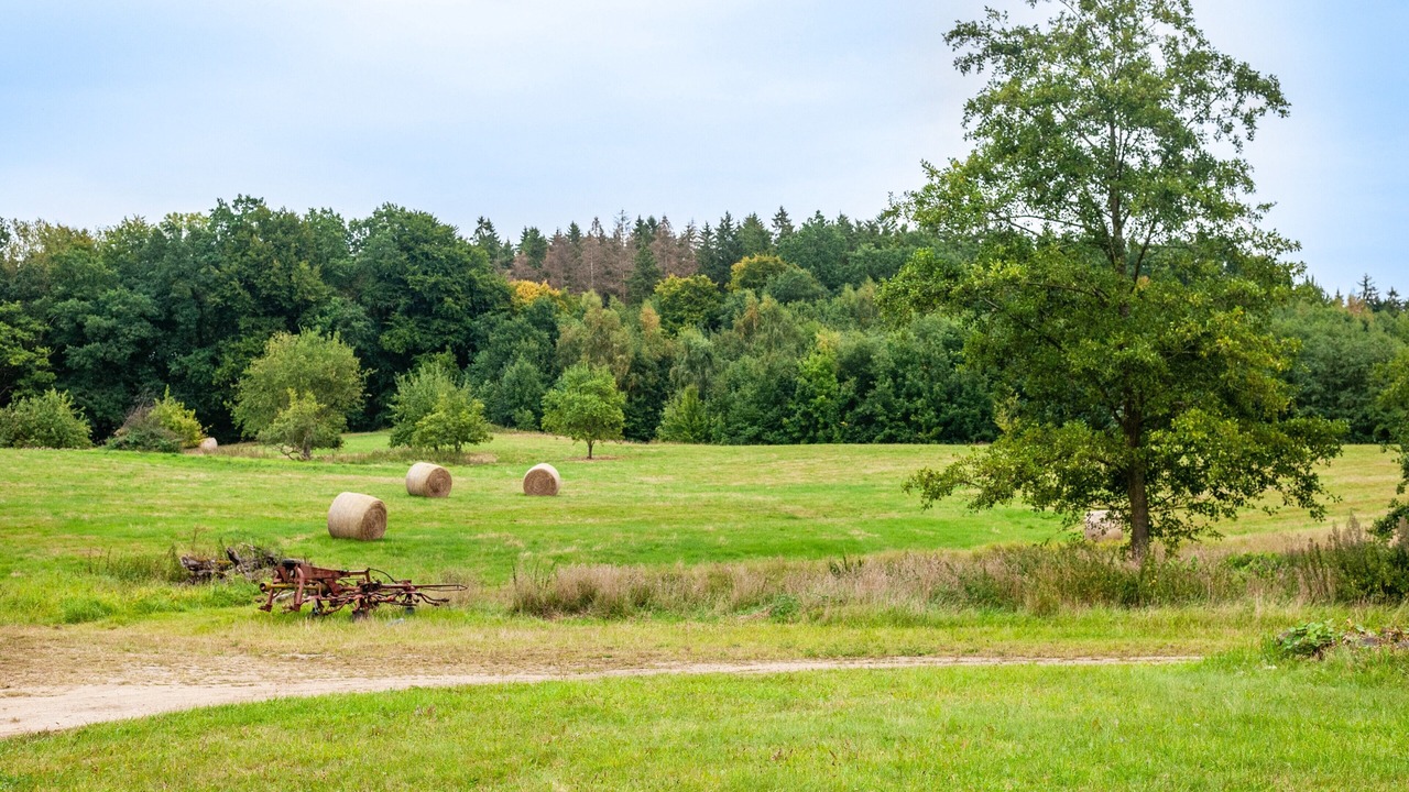 Photo of Others in Kalkhorst
