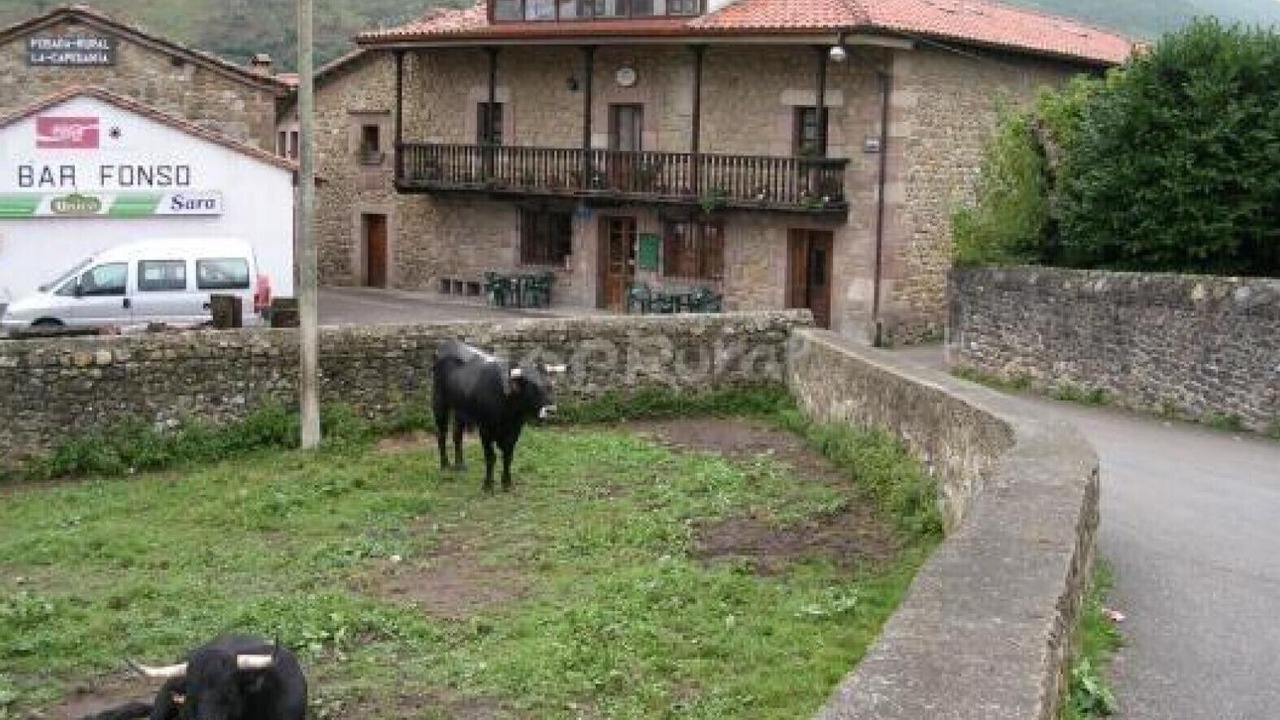 Photo of Outdoor in Celis