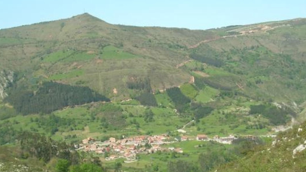 Photo of Others in Celis