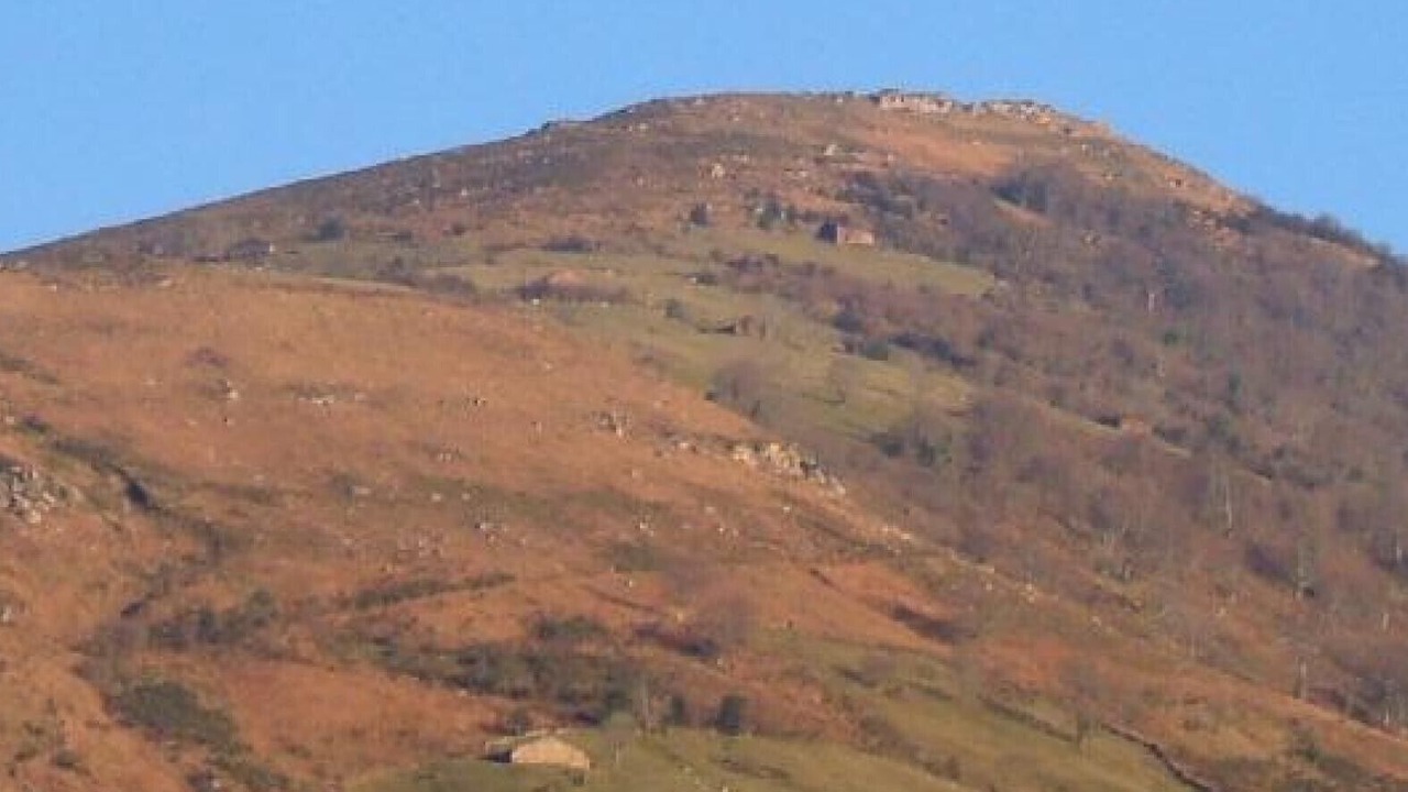 Photo of Others in Celis