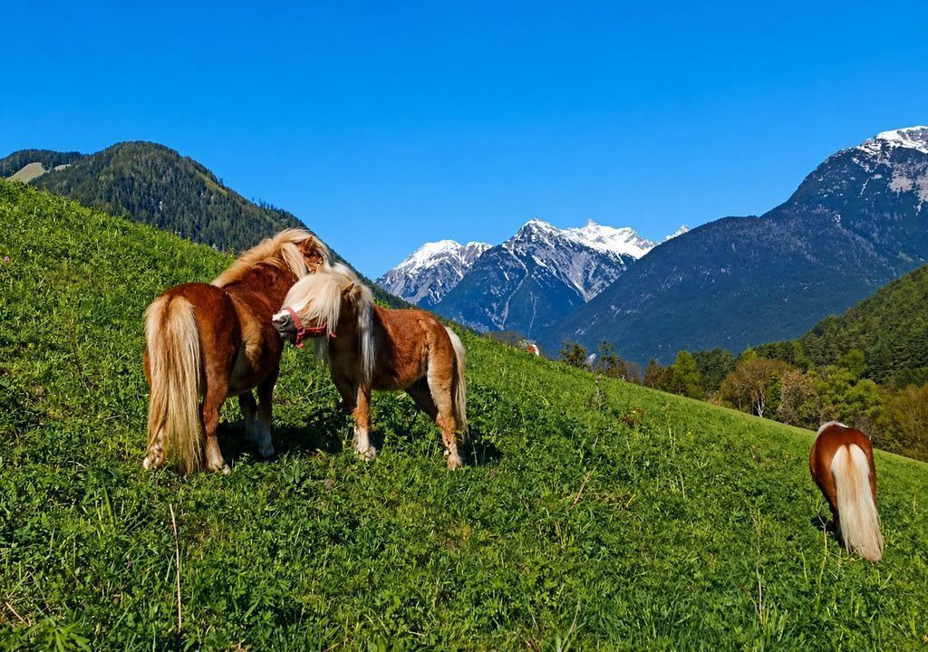 Photo of Others in Arzl im Piztal