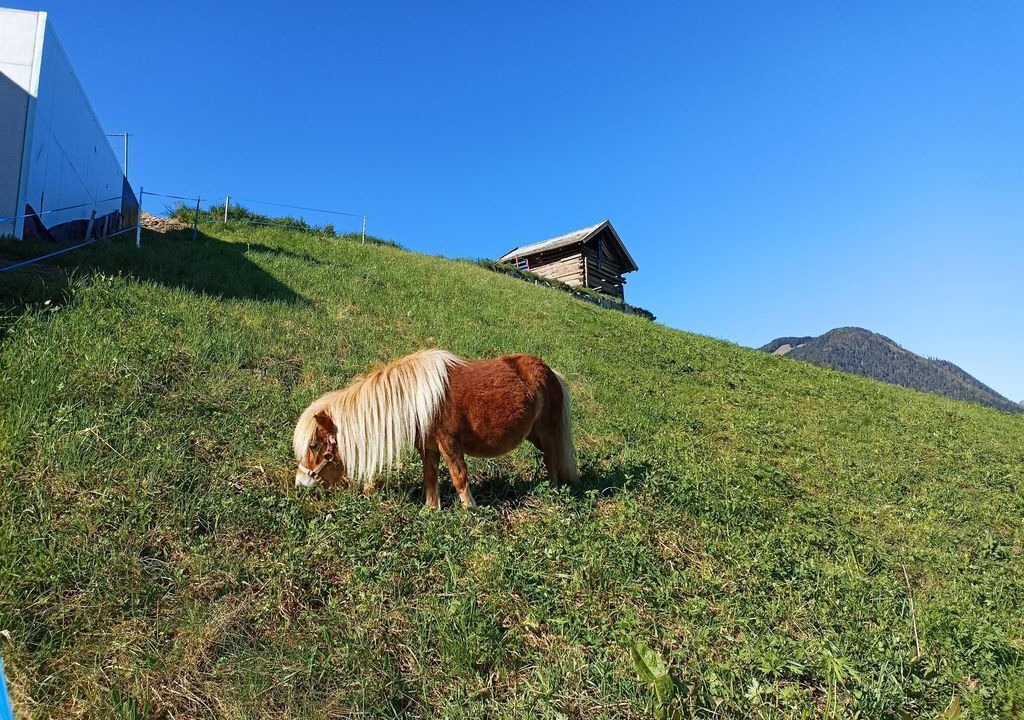 Photo of Others in Arzl im Piztal