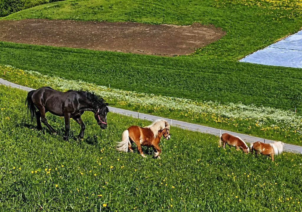 Photo of Others in Arzl im Piztal