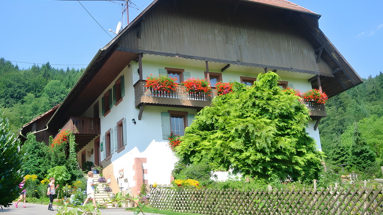 Photo of Outdoor in Seelbach