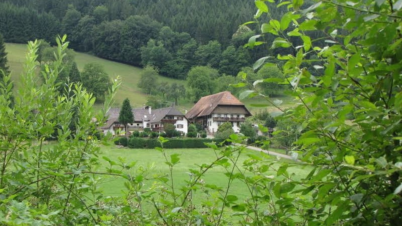 Photo of Outdoor in Seelbach