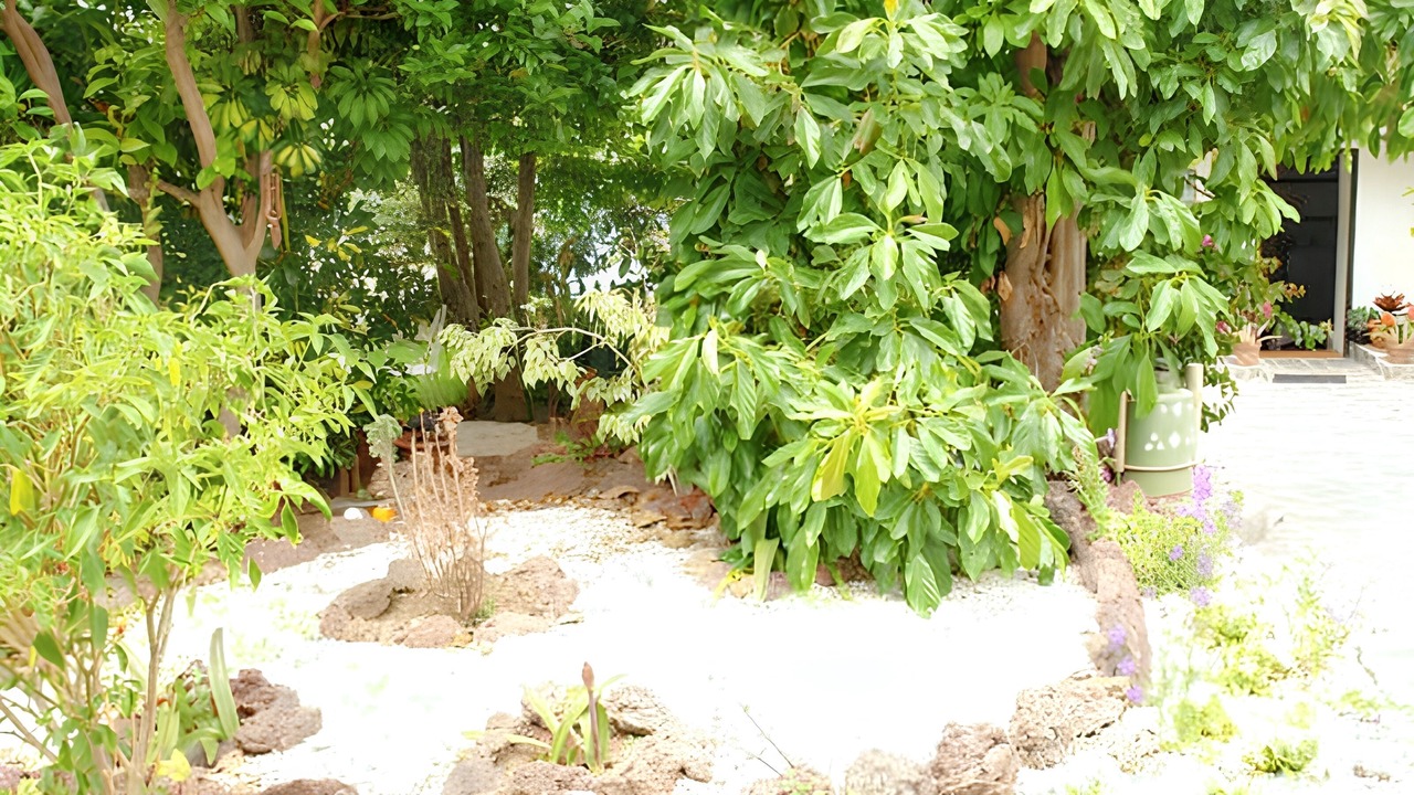 Photo of Outdoor in Valle de Guerra