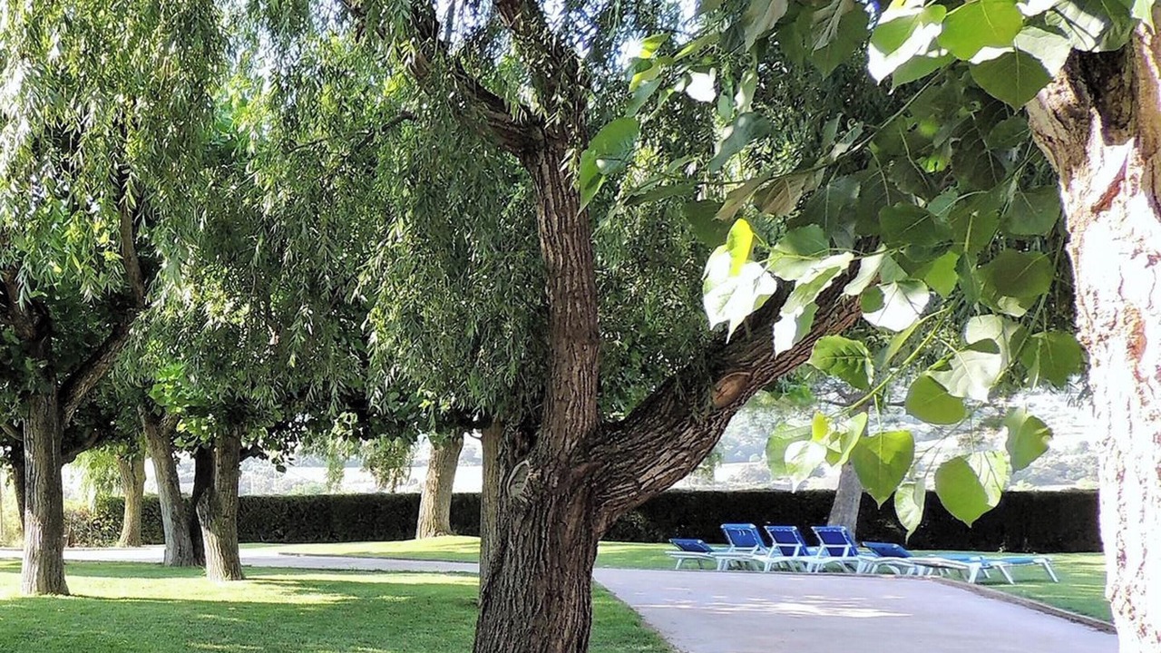 Photo of Outdoor in Cretas