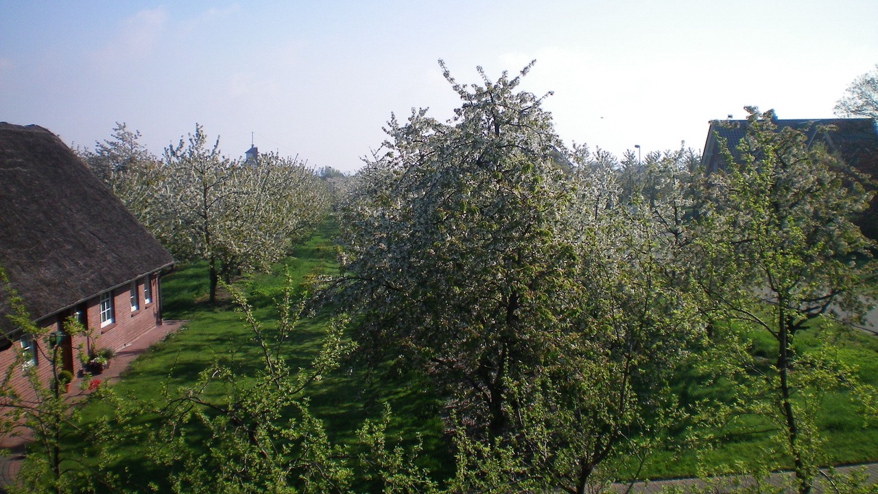 Photo of Outdoor in Jork