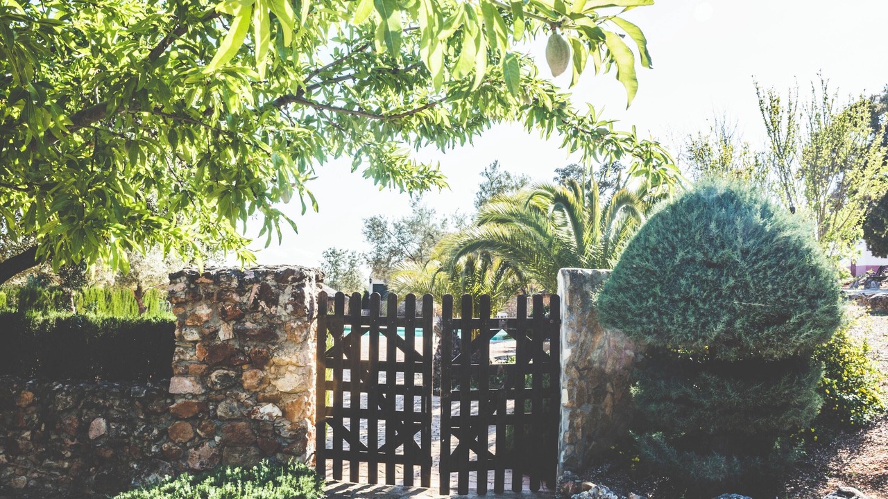 Photo of Others in Estepa