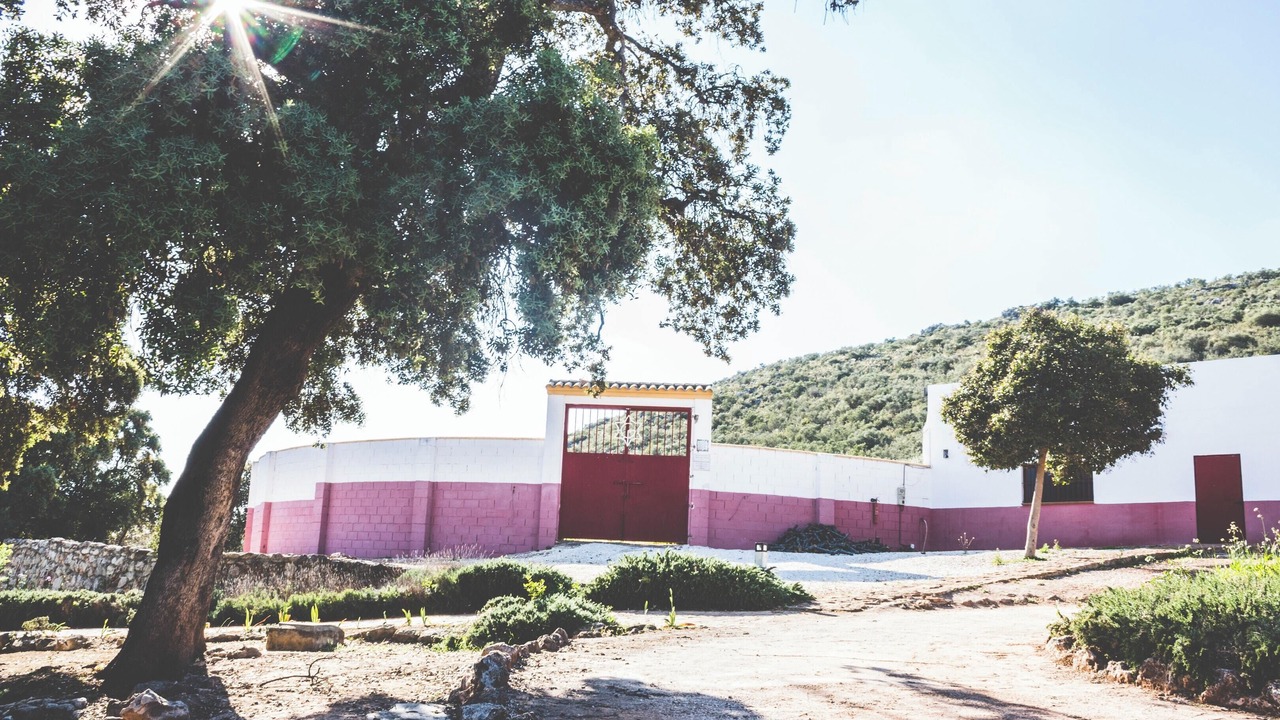 Photo of Others in Estepa