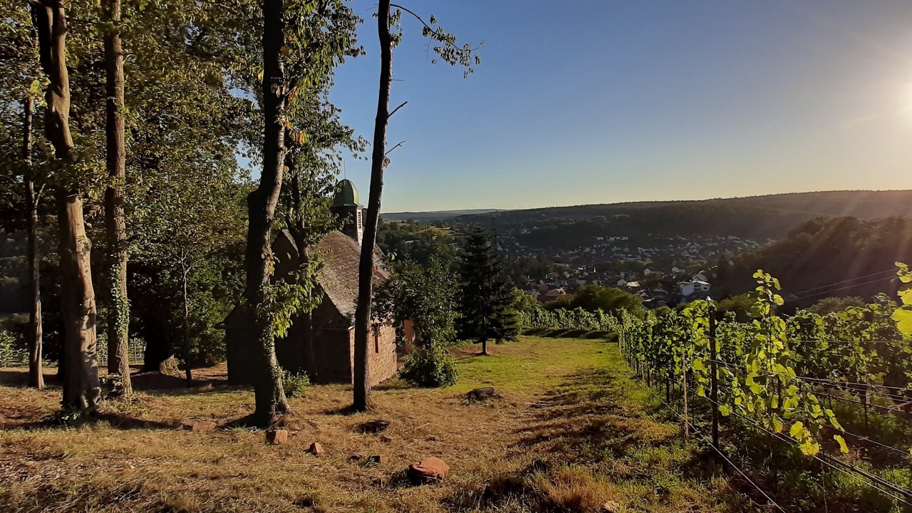 Photo of Others in Elsenfeld