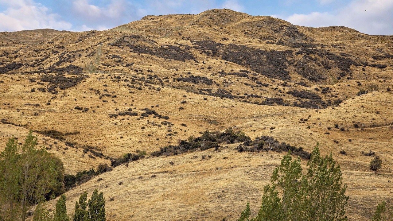 Photo of Others in Cardrona