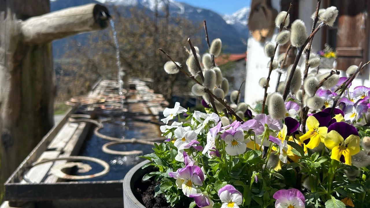 Photo of Outdoor in Stanggaß