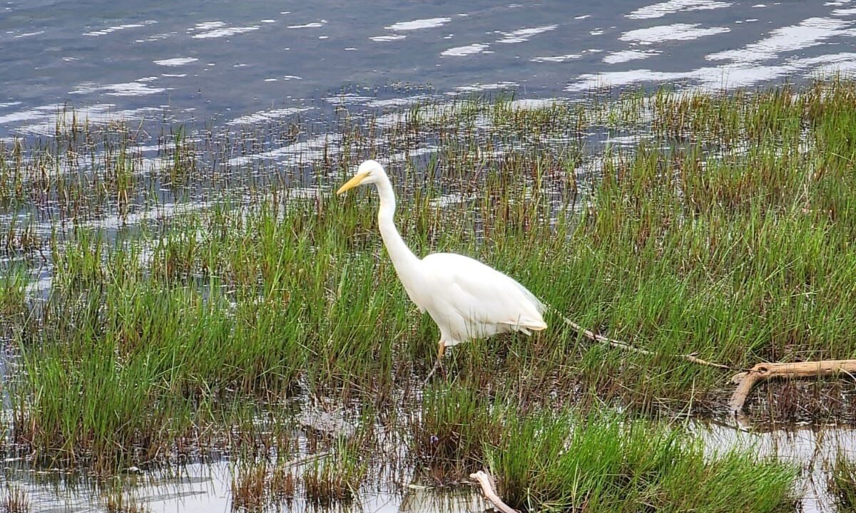 Photo of Others in Glenorchy