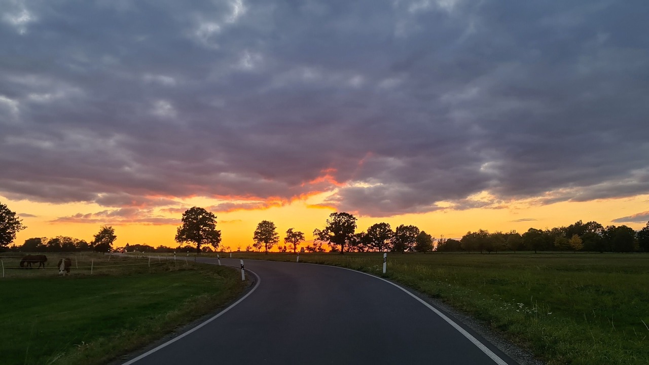 Photo of Others in Schoenfeld-Weissig